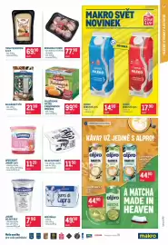 Makro leták Strana 17
