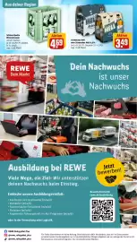 Rewe DE folder week 27 Pagina 31