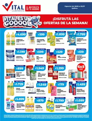 Supermayorista Vital (válido hasta 5-07)
