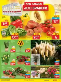 Netto Marken-Discount Prospekt woche 28 Seite 7