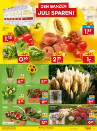 Netto Marken-Discount Prospekt woche 28 Seite 7