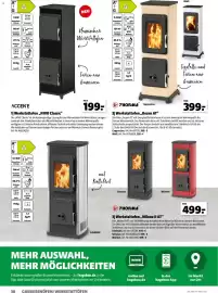 Hagebau Prospekt Seite 36