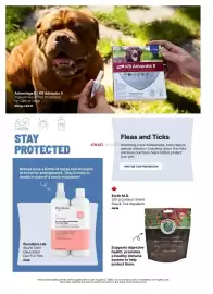 Ren’s Pets Depot flyer Page 11