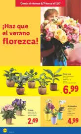 Catálogo Lidl semana 28 Página 58