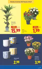 Catálogo Lidl semana 28 Página 59