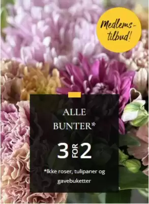 Floriss (gyldig til 13-07)