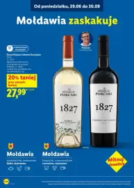 Lidl gazetka Strona 10