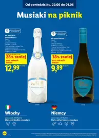 Lidl gazetka Strona 13