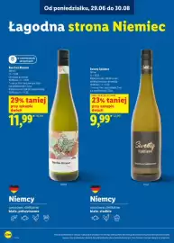 Lidl gazetka Strona 17