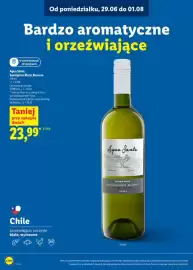 Lidl gazetka Strona 19