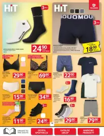 Selgros gazetka Strona 17