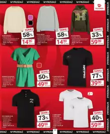 Selgros gazetka Strona 17