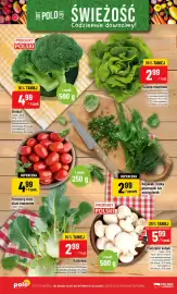 Polomarket gazetka tydzień 27 Strona 10