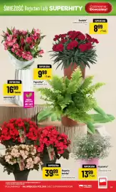 Polomarket gazetka tydzień 27 Strona 63