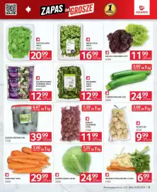 Selgros gazetka Strona 5