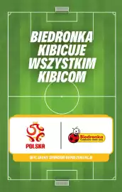 Biedronka gazetka Strona 5