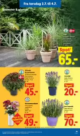 Lidl tilbudsavis Side 6