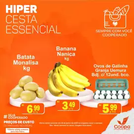 Catálogo Cocipa Página 6