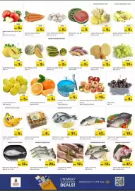Nesto catalogue Page 2