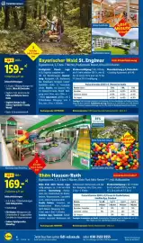 Lidl Reisen Prospekt Seite 4