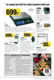 Engelsons katalog Sida 81