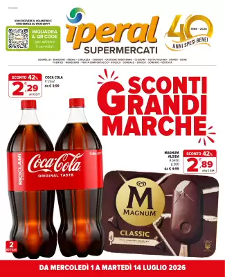 Volantino Iperal