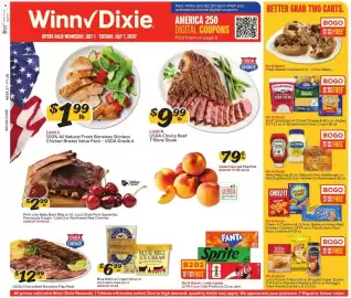 Winn Dixie weekly ad week 27 Page 1