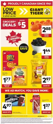 Giant Tiger flyer (valid until 7-07)