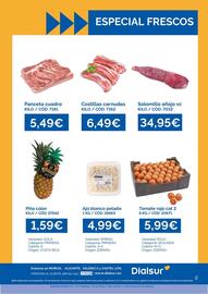 Folleto Dialsur Cash & Carry semana 27 Página 2