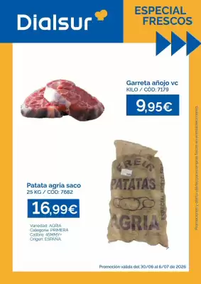 Folleto Dialsur Cash & Carry (válido hasta el 6-07)