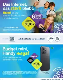 Hartlauer Flugblatt Seite 5