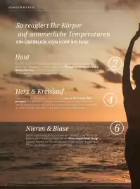 Bärbel Drexel Flugblatt Seite 9