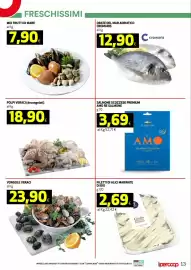 Volantino Coop Master Alleanza 3.0 | iper Pagina 13