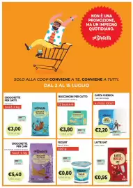 Volantino Coop Master Alleanza 3.0 | iper Pagina 31