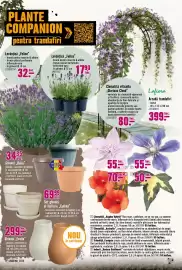 Magazine Hornbach Pagină 11