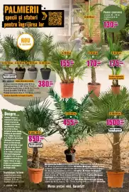 Magazine Hornbach Pagină 13