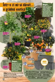 Magazine Hornbach Pagină 14
