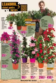 Magazine Hornbach Pagină 15