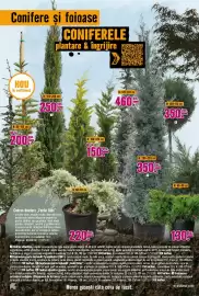 Magazine Hornbach Pagină 18