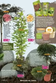 Magazine Hornbach Pagină 19