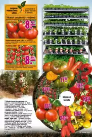 Magazine Hornbach Pagină 6