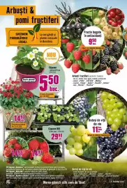 Magazine Hornbach Pagină 8