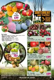 Magazine Hornbach Pagină 9