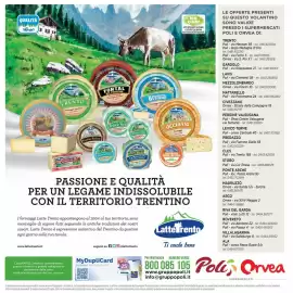 Volantino Orvea Pagina 32