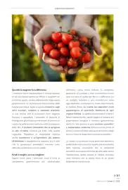 Volantino Coal City Pagina 51