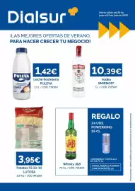Folleto Dialsur Cash & Carry Página 1