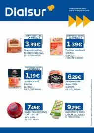 Folleto Dialsur Cash & Carry Página 1