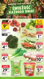 Intermarche gazetka tydzień 27 Strona 10