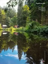 TUI Prospekt Seite 61