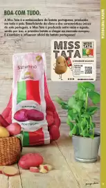 Folheto Pingo Doce | Fruta e Legumes Página 11
